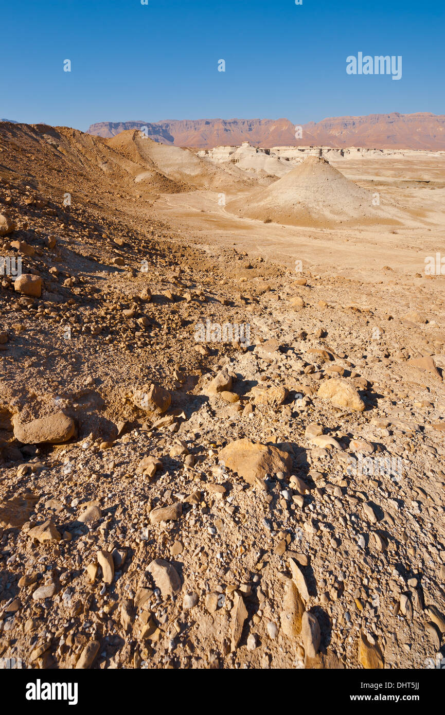 Deserto Foto Stock