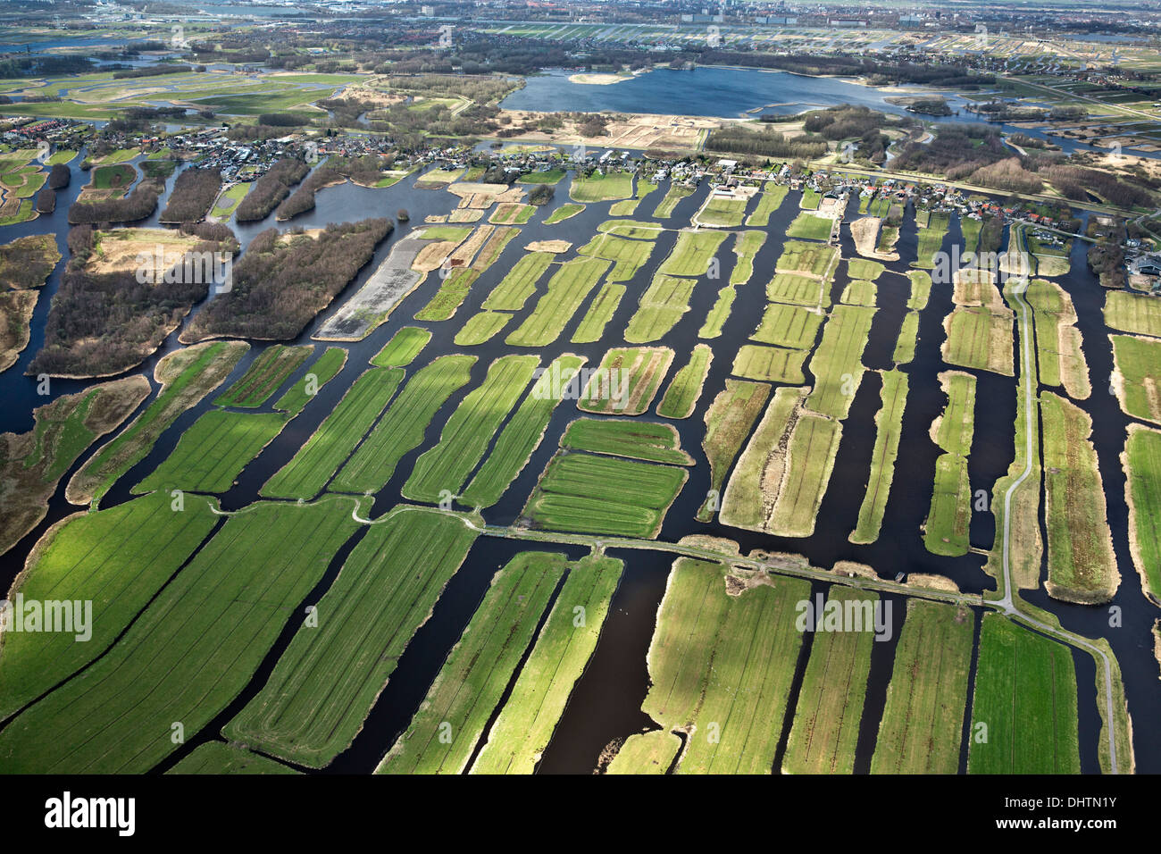 Paesi Bassi, Den Ilp, case e fattorie nel paesaggio di polder. Antenna Foto Stock