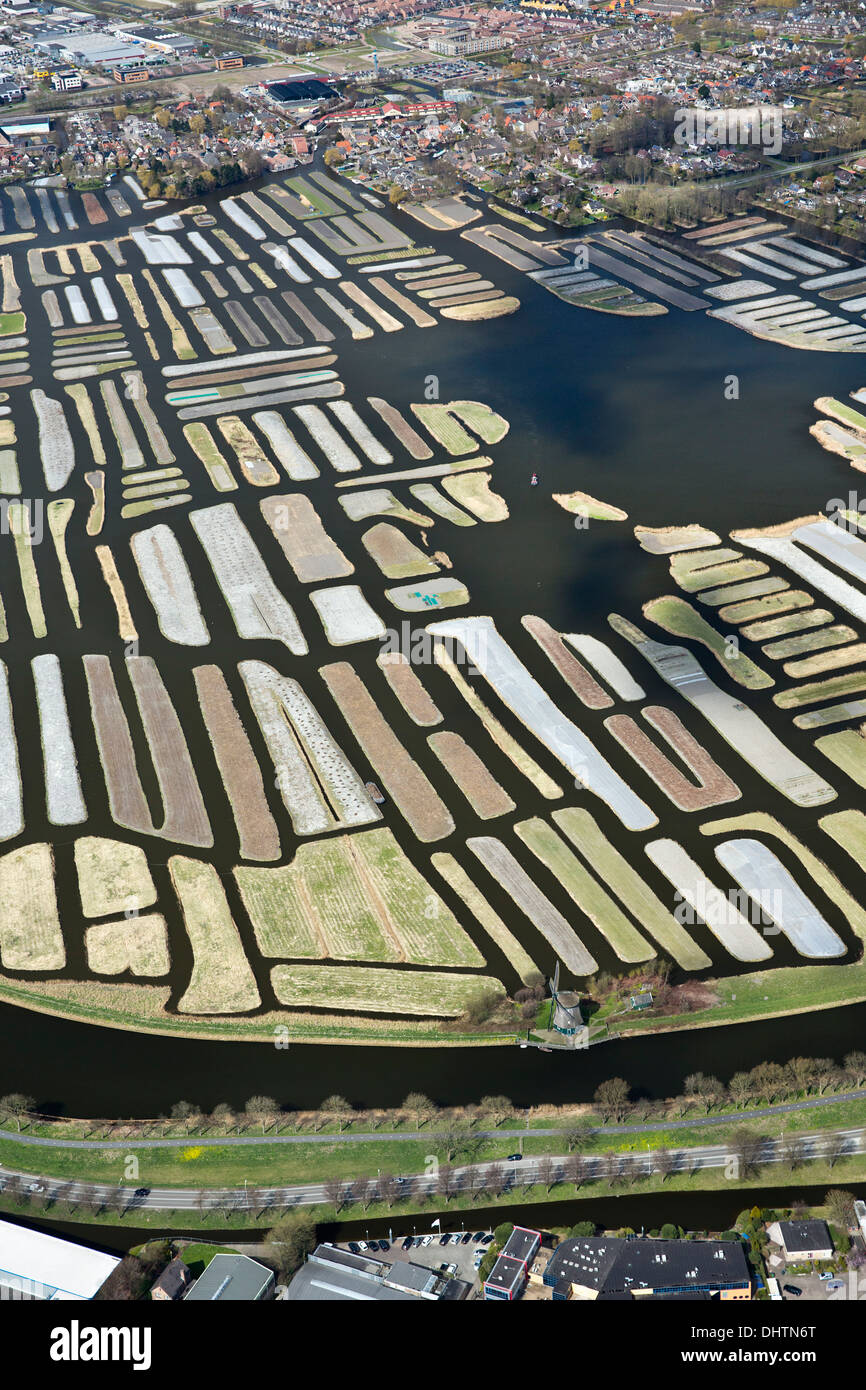 Paesi Bassi, Broek op Langedijk, zona denominata Oosterdel. Una palude trasformato in terreno agricolo. Antenna Foto Stock