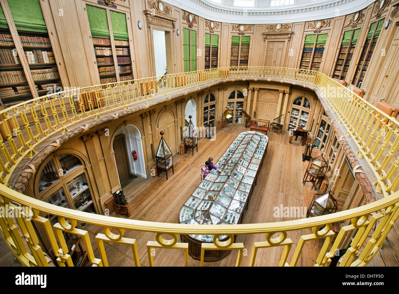 Paesi Bassi, Haarlem, Teylers Museum il museo più antico, aperto al pubblico dal 1784. Angolo di alta vista sulla sala ovale. Visitatori Foto Stock