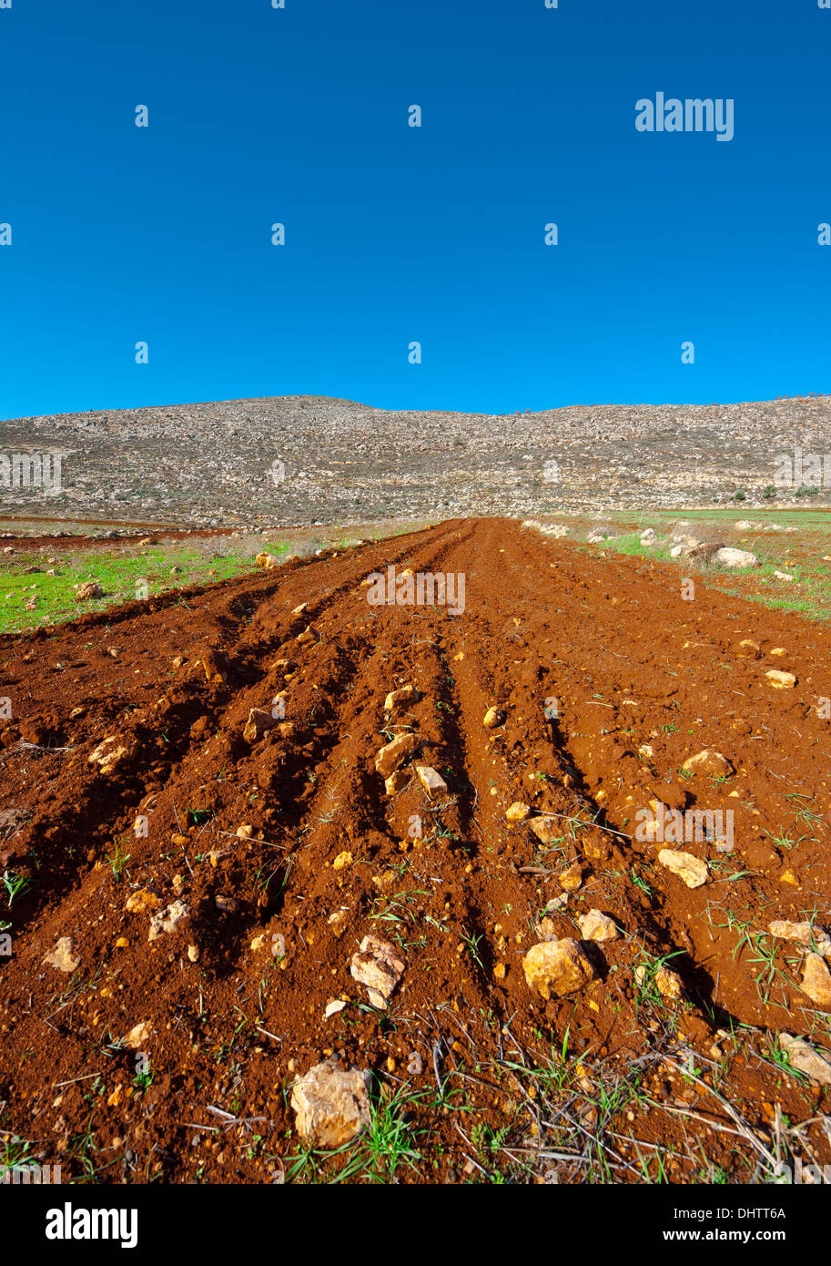 Terra Santa Foto Stock