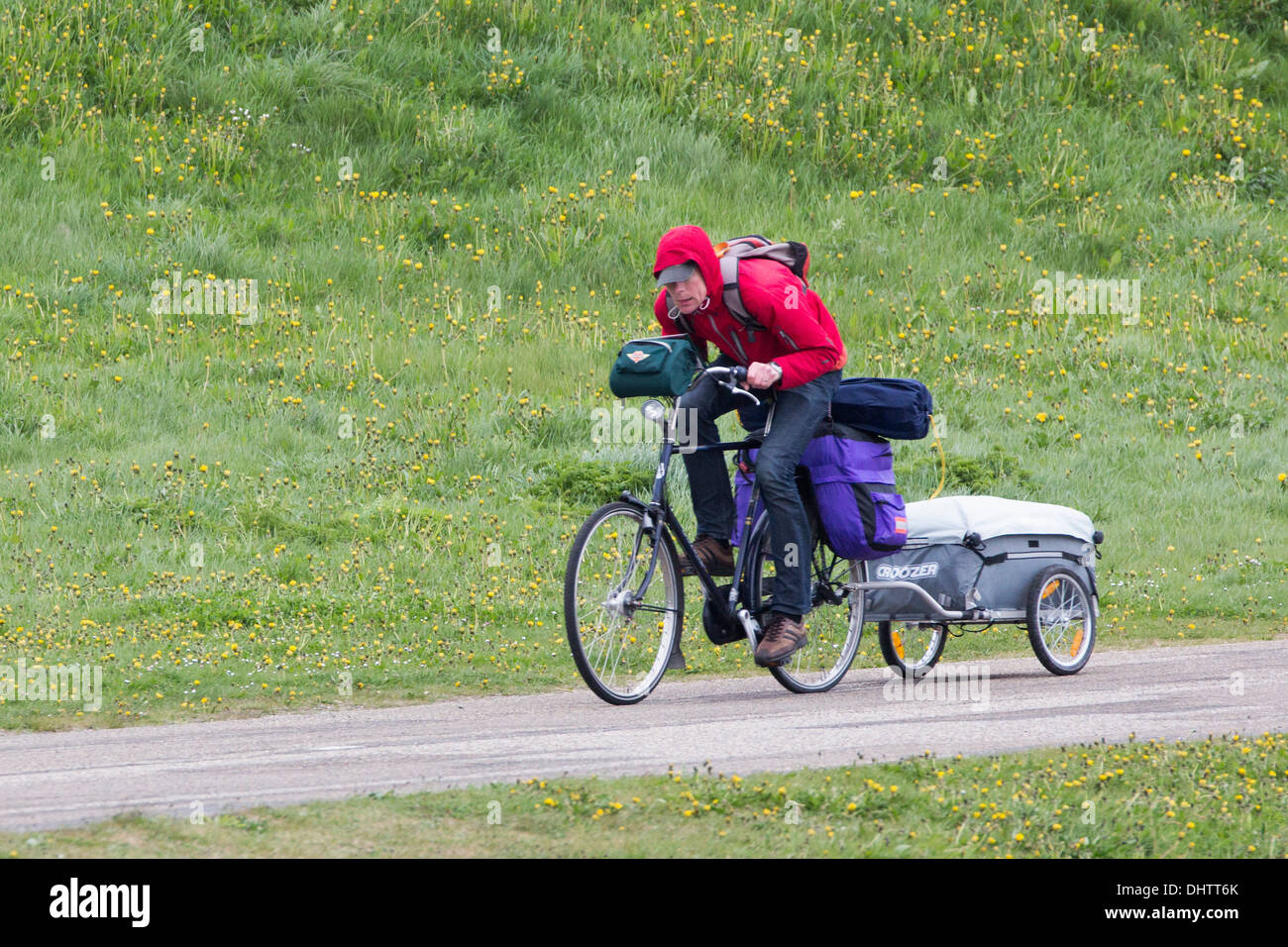 Paesi Bassi, Camperduin, uomo in bicicletta. Forte headwind, storm Foto Stock