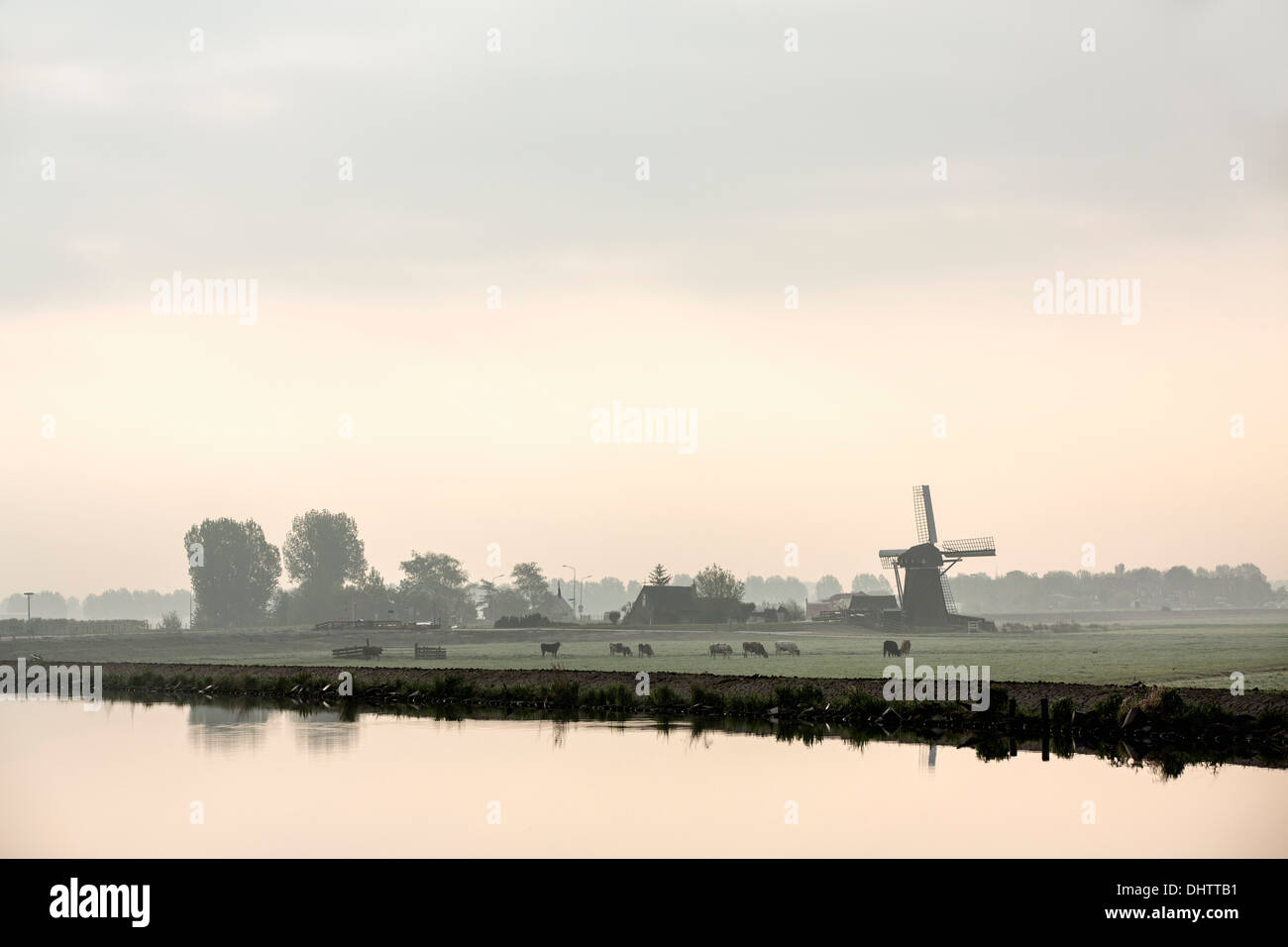 Paesi Bassi, Buitenkaag, mulino a vento vicino a cinghia polder canal. Vacche Foto Stock