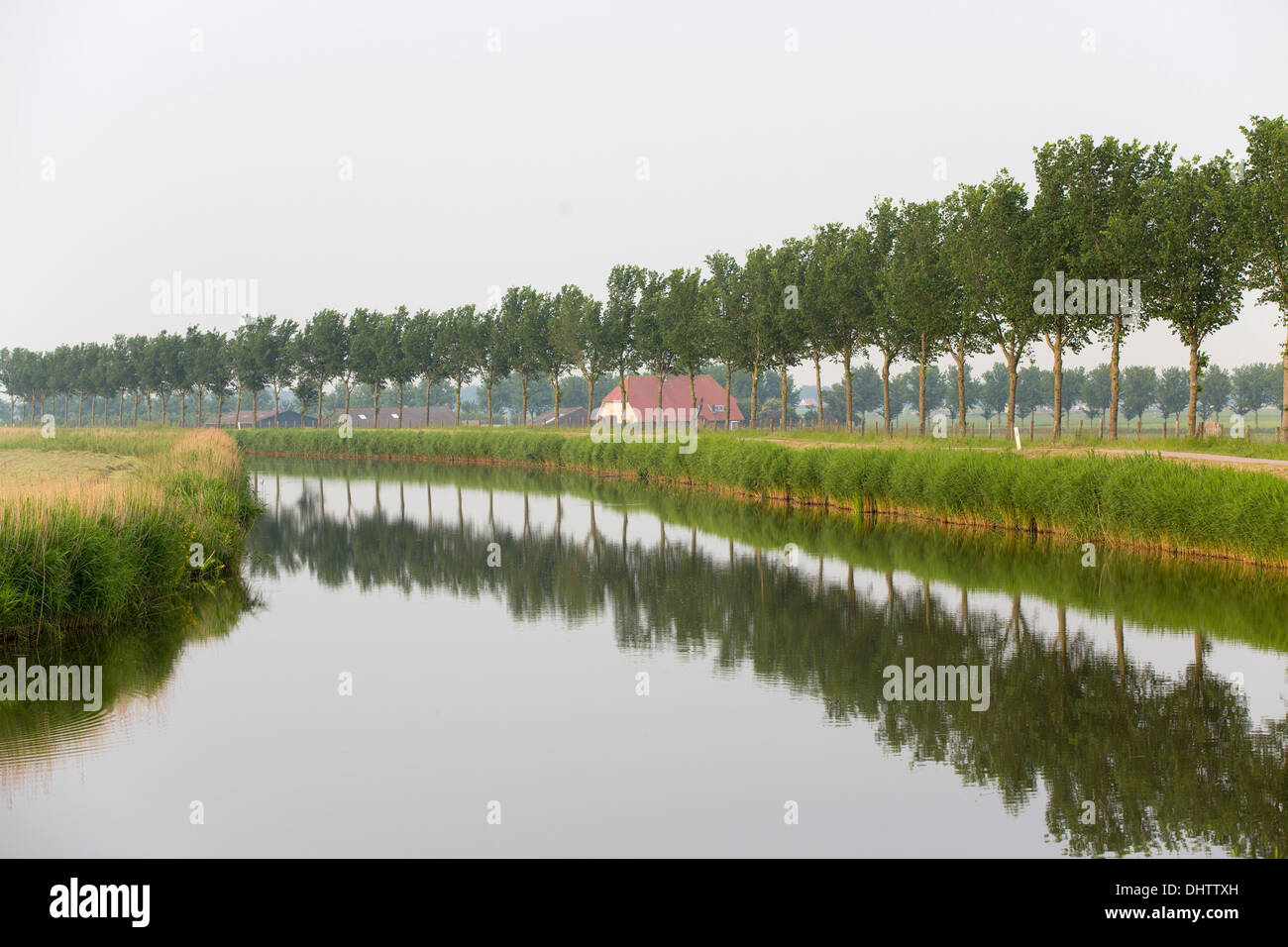 Paesi Bassi, Middenbeemster, tipica fattoria a canale di cintura che circonda Beemster Polder, un sito patrimonio mondiale dell'UNESCO Foto Stock