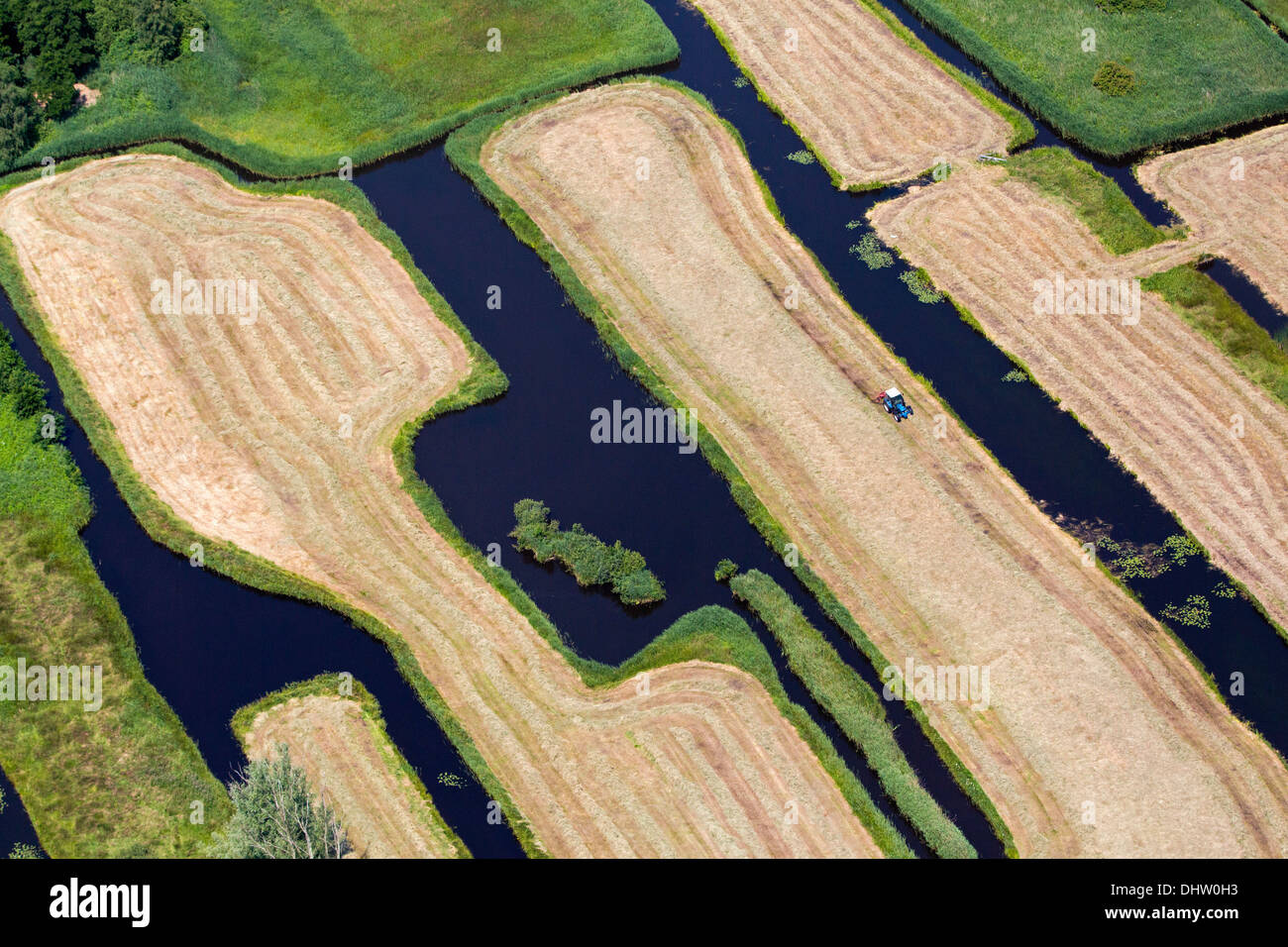 Paesi Bassi, Loosdrecht, contadino con il trattore gira erba a secco sulla piccola isola. Antenna Foto Stock