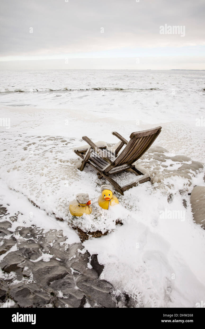 Paesi Bassi, Marken, chiamato lago IJsselmeer. L'inverno. Sedie e toy anatre in ghiaccio Foto Stock