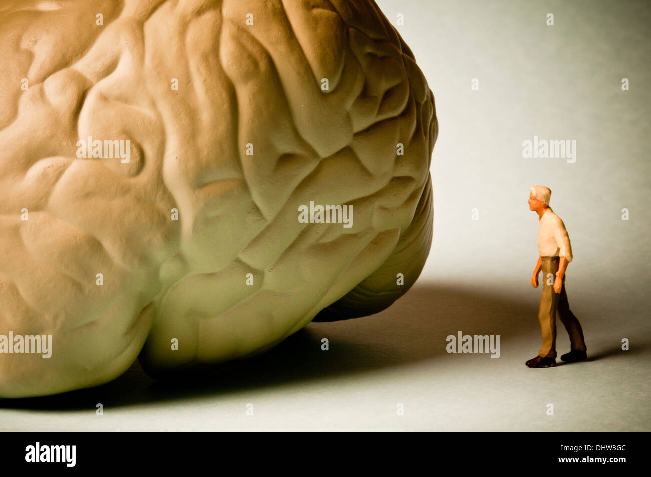 Il morbo di Alzheimer e malattie della mente Foto Stock