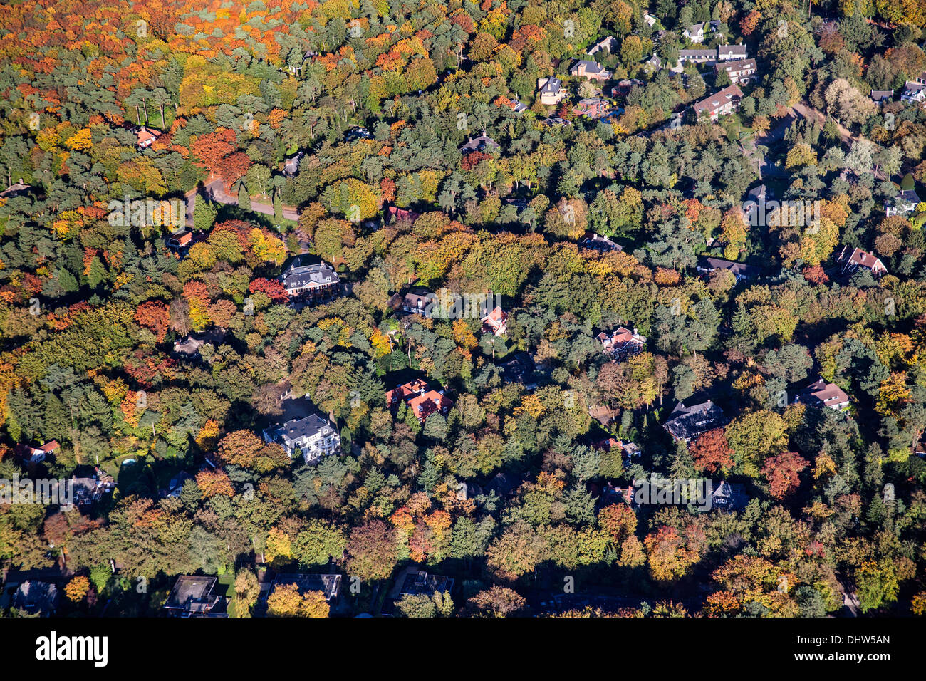 Paesi Bassi, Hilversum, ville circondate da alberi. Colori dell'autunno. Antenna Foto Stock