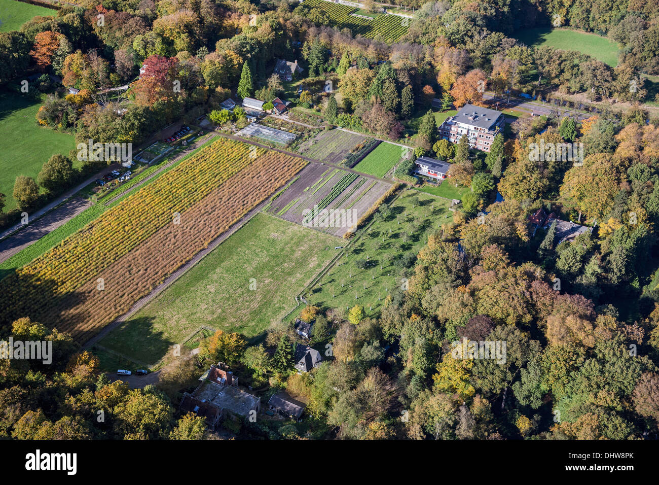 Paesi Bassi, 's-Graveland, antenna. Giardini e orti biologici e la coltivazione di ortaggi. Autunno Foto Stock