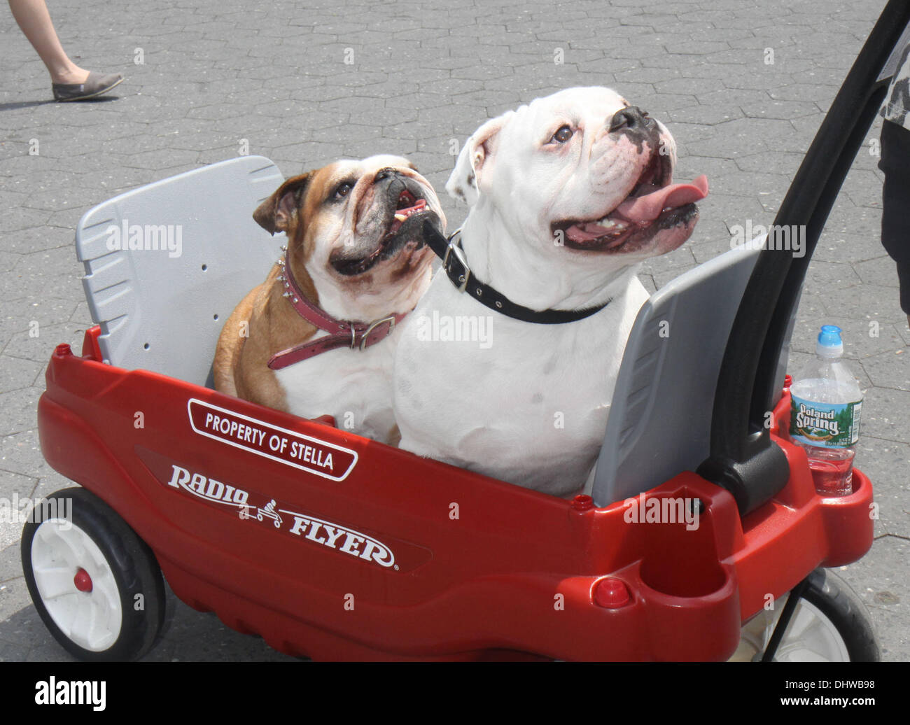 Atmosfera Veggie Pride Parade 2012 New York City, Stati Uniti d'America - 27.05.12 Foto Stock