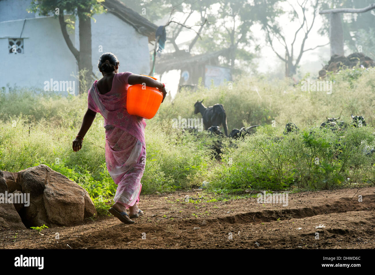 Donna indiana che porta un vaso in materia plastica con acqua proveniente da una pompa a mano in un territorio rurale villaggio indiano. Andhra Pradesh, India Foto Stock