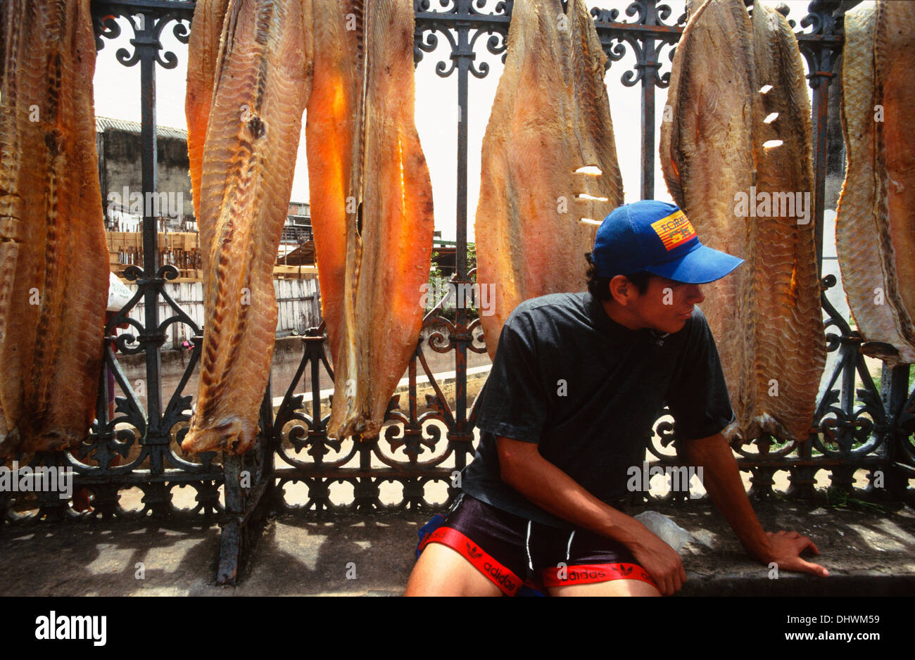 Pesce a secco, mercato, Manaus, stato di Amazonas, Amazzonia, Brasile, Sud America Foto Stock