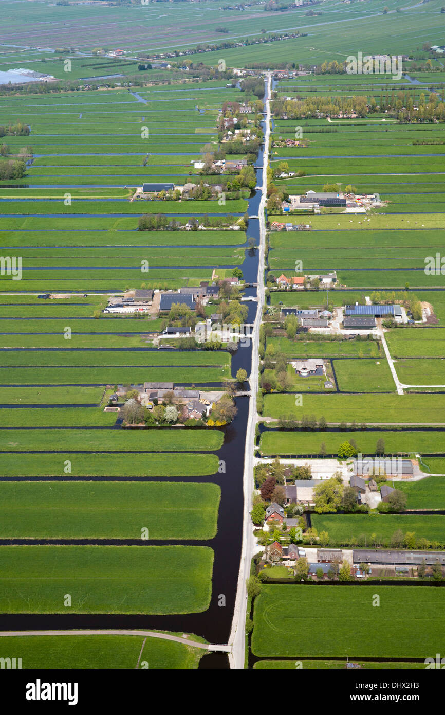 Paesi Bassi, Nieuwkoop, aziende agricole in polder. Antenna Foto Stock