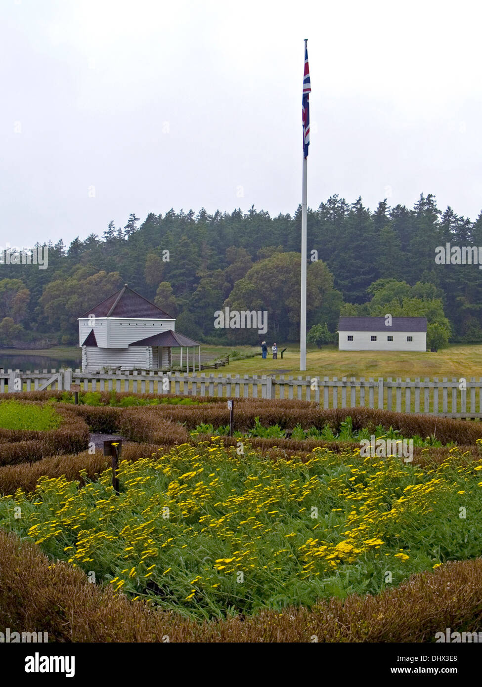 Campo inglese del maiale guerra,San Juan Island,Stato di Washington Foto Stock