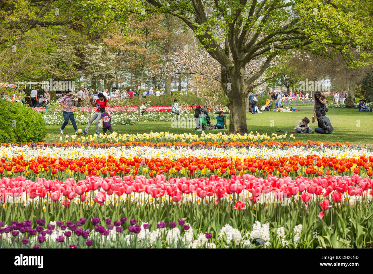 Paesi Bassi Lisse, giardini Keukenhof Foto Stock