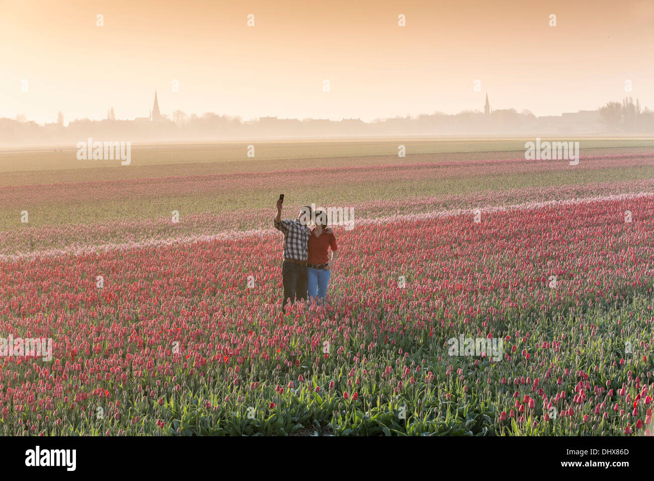 Paesi Bassi, Hillegom, Tulip campo nella nebbia di mattina. Turista giovane di scattare una foto Foto Stock