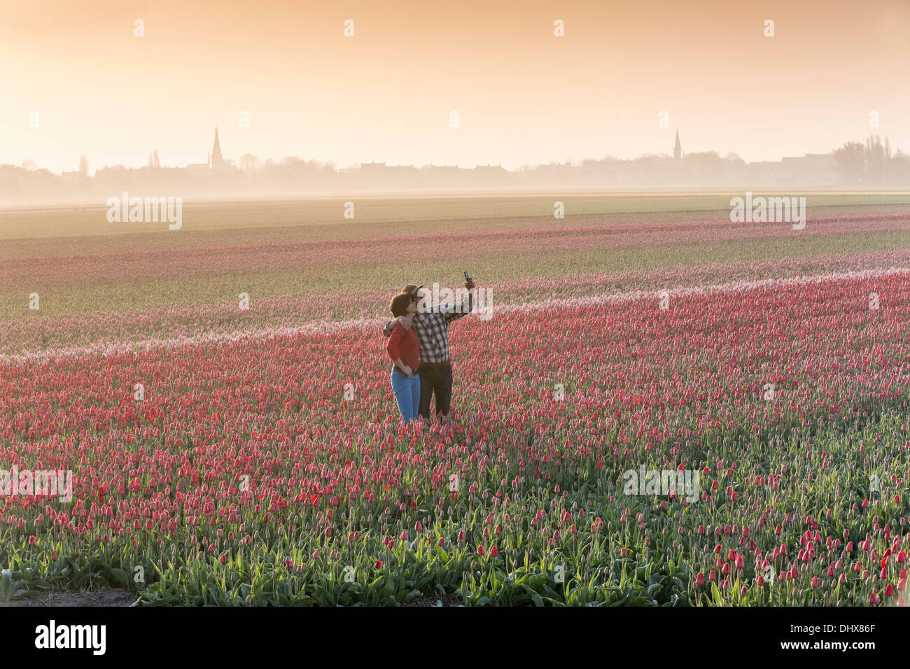 Paesi Bassi, Hillegom, Tulip campo nella nebbia di mattina. Turista giovane di scattare una foto Foto Stock
