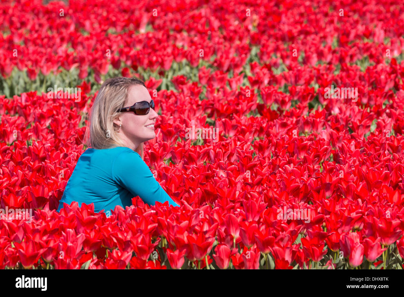 Paesi Bassi Lisse, bambino camminando nel campo di tulipani Foto Stock