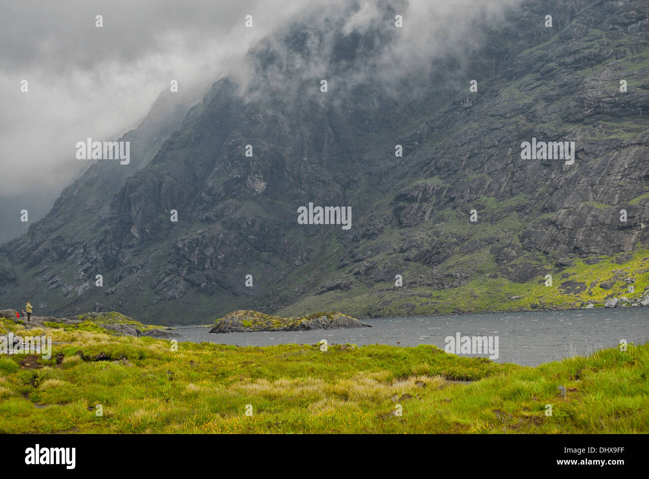 Isla en Skye,focas,corsa,turismo,rural Foto Stock