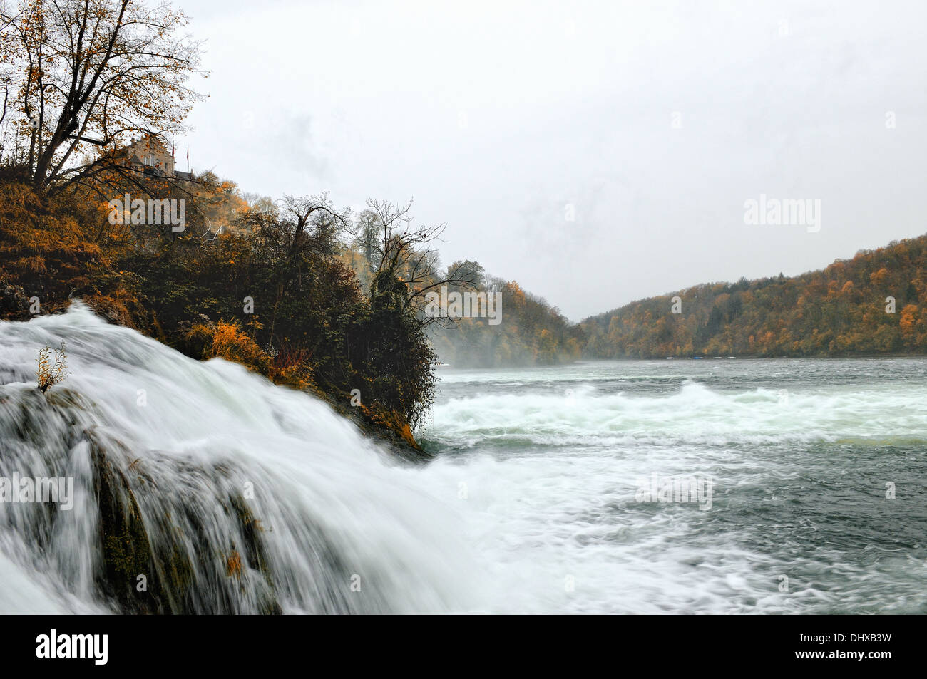 Cascate del Reno di Sciaffusa svizzera Foto Stock