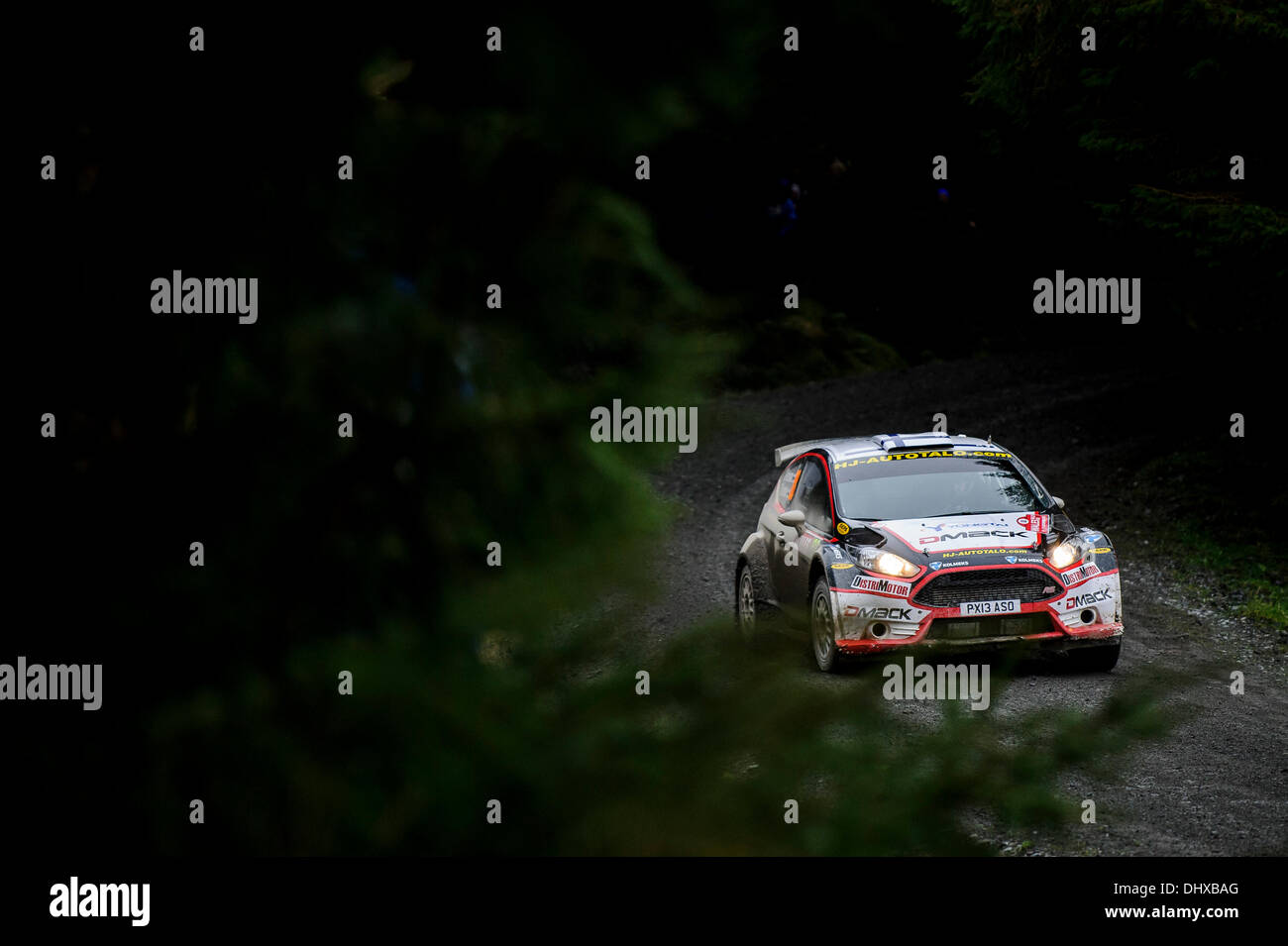 Powys, Galles. Xv Nov, 2013. Jari Ketomaa e Tapio Suominen di Finlandia (FIN) guidare i loro DMACK - AUTOTEK WRC 2 Ford Fiesta R5 sul secondo passaggio della fase Myherin (SS9) durante il giorno 2 del Rally del Galles GB, il round finale del 2013 FIA Word Rally Championship. Credito: Azione Sport Plus/Alamy Live News Foto Stock