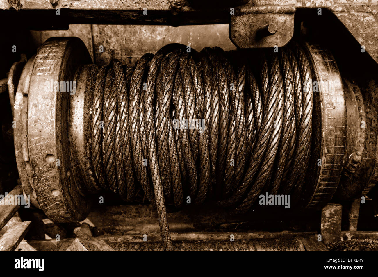 Seppia di verricello Foto Stock