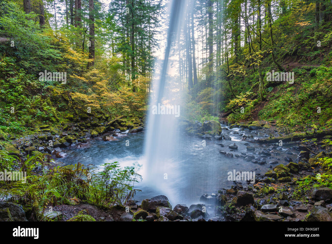 Vista dal sentiero dietro la coda di cavallo cade (aka equiseto superiore scende), Columbia River Gorge National Scenic Area, Oregon. Foto Stock