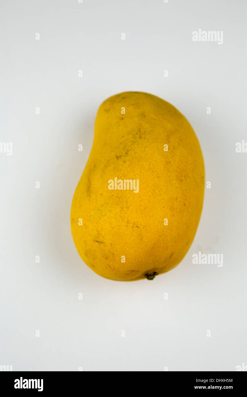 Mango manghi manghi giallo per alimenti frutta Frutta Foto Stock