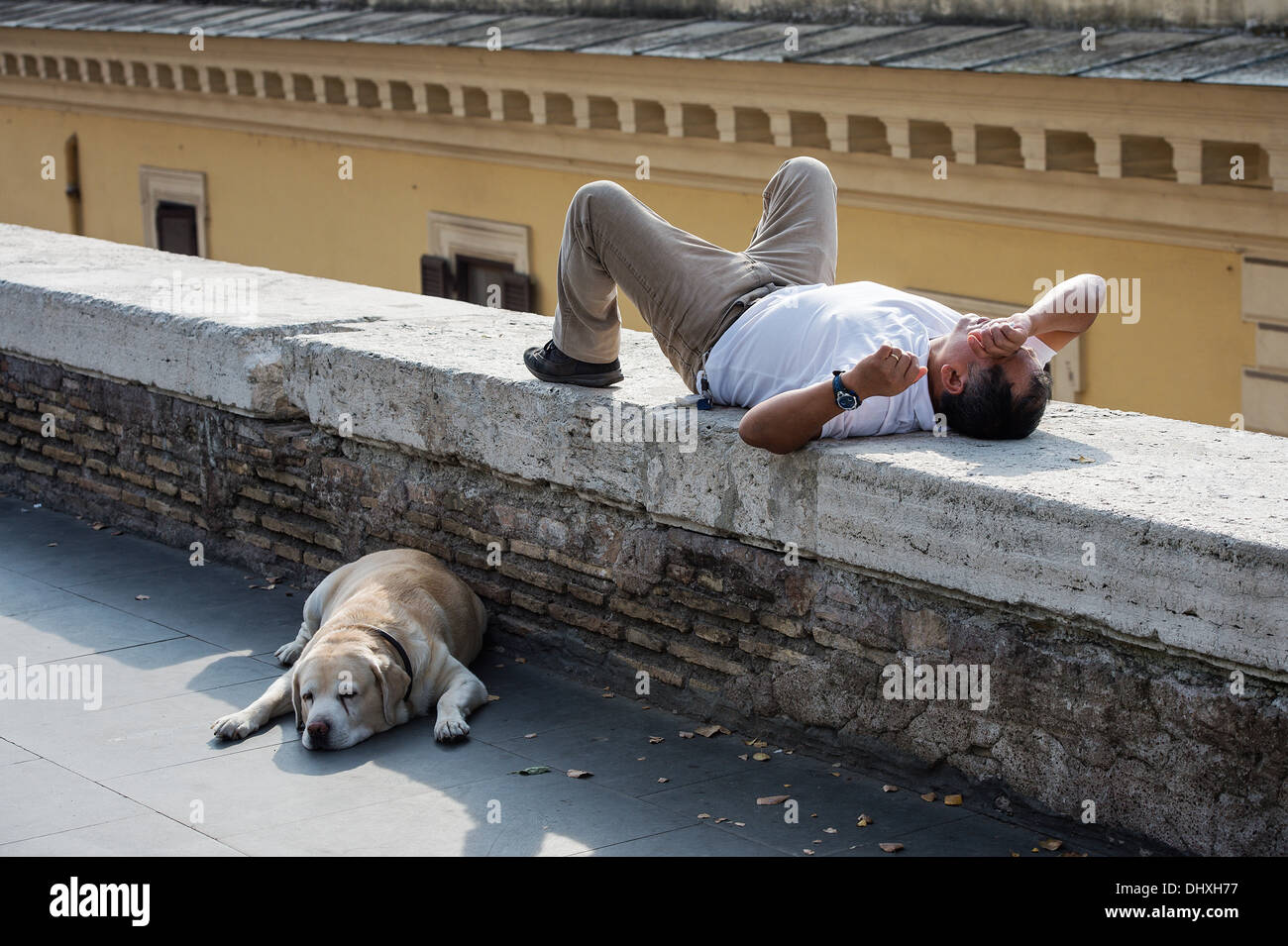 Uomo e cane prendere una pausa pomeridiana, Roma, Italia Foto Stock