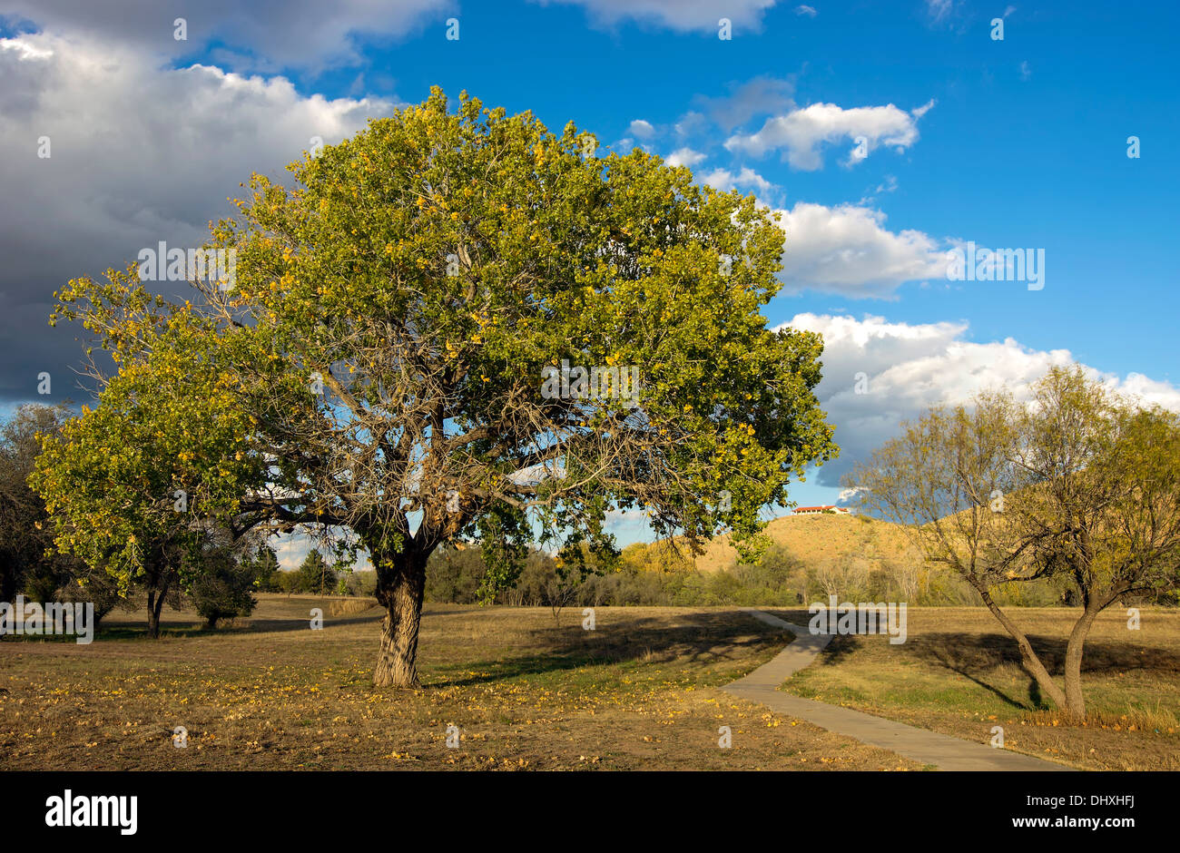 Kokernot city park in Alpine, Texas Foto Stock