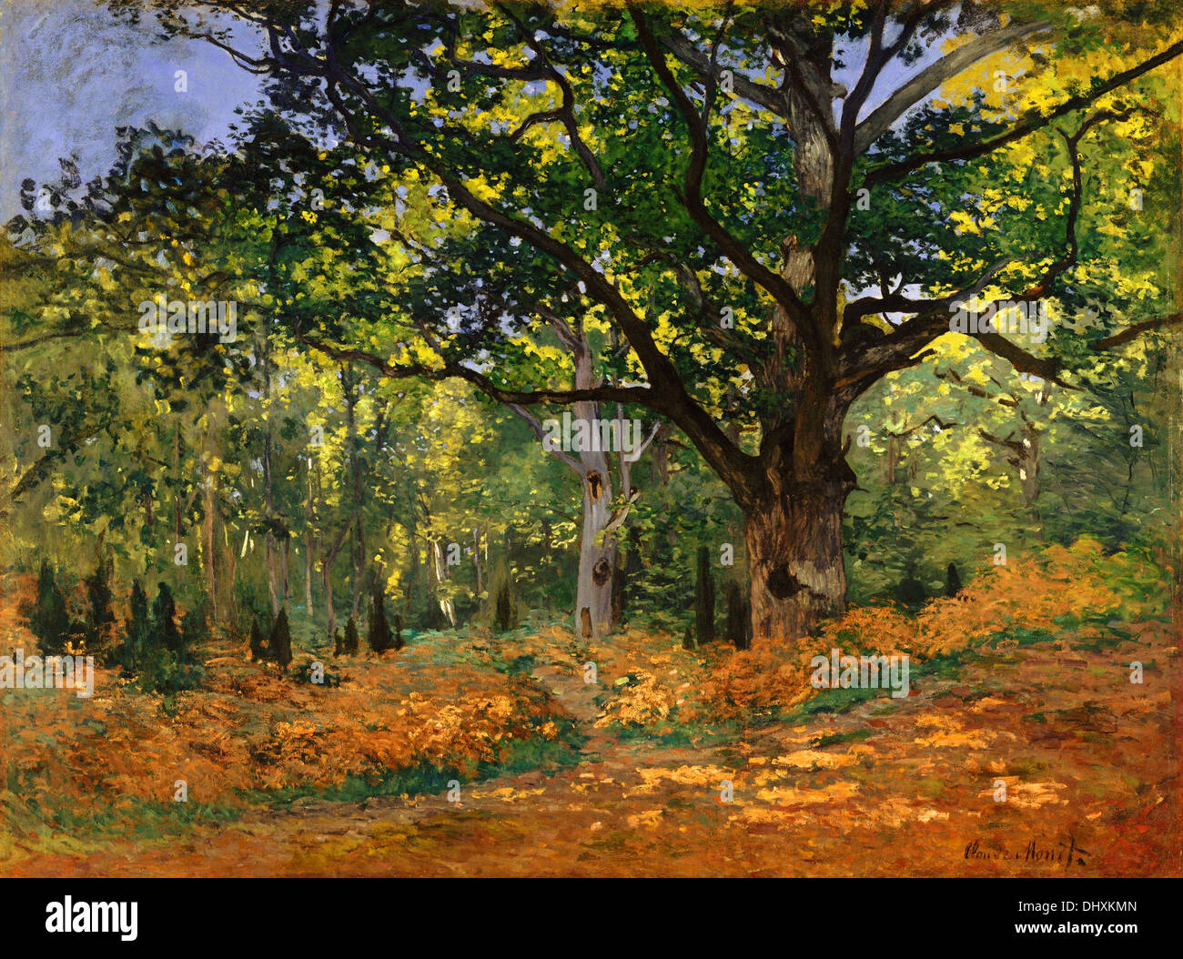 Il Bodmer Quercia, Foresta Fontainebleau - di Claude Monet, 1865 Foto Stock