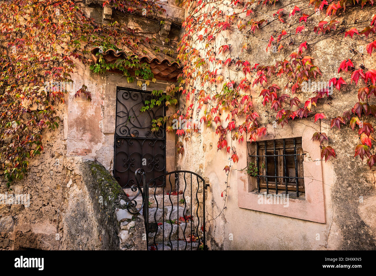 Affascinante facciata rustica e edera, Eza, Costa Azzurra, Francia Foto Stock
