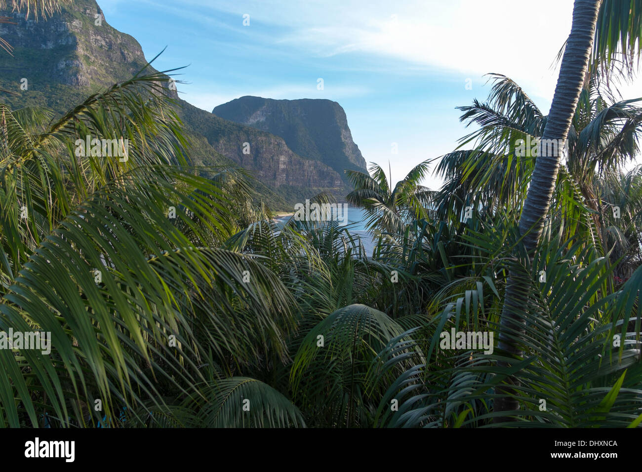 Vista attraverso le palme a Mount Lidgbird e Monte Gower, Isola di Lord Howe, Australia Foto Stock