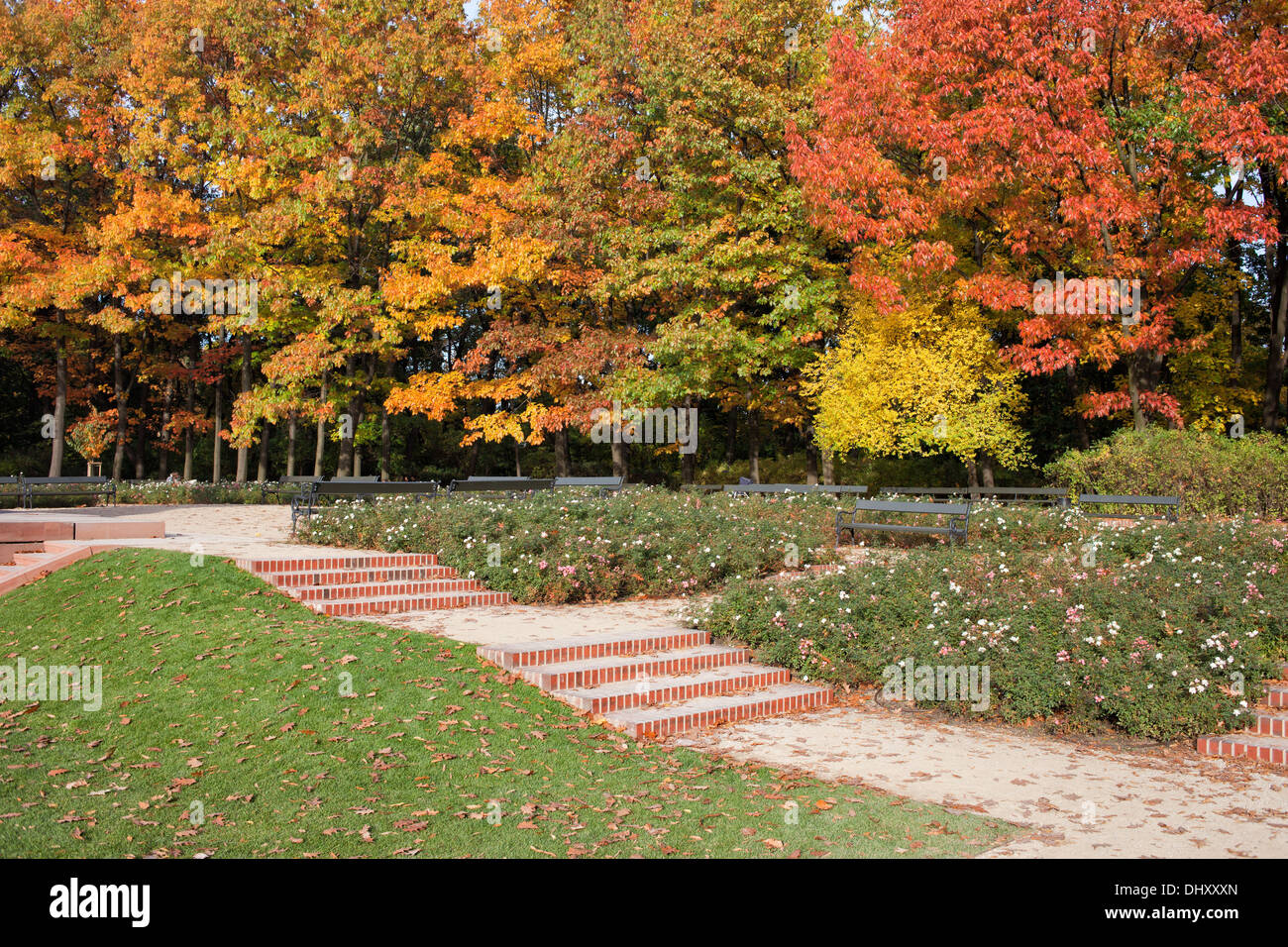 In autunno il Regio Parco Lazienki (Polacco: Lazienki Krolewskie, Parco Lazienkowski), la città di Varsavia, Polonia. Foto Stock