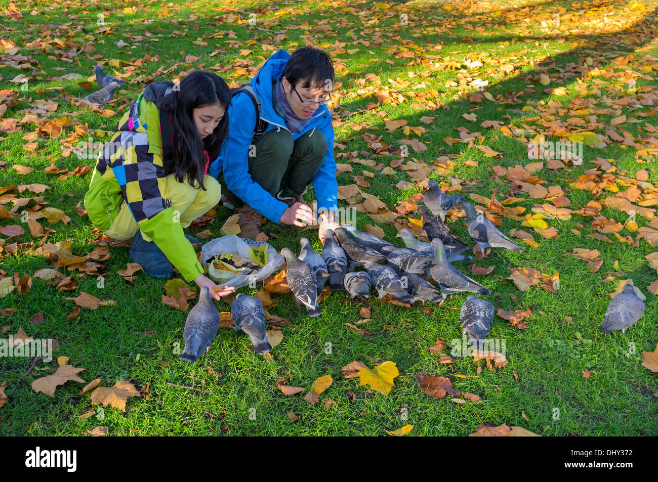 Due persone di alimentazione città selvatici piccioni pane dalle loro mani in un parco pubblico, Glasgow, Scotland, Regno Unito Foto Stock