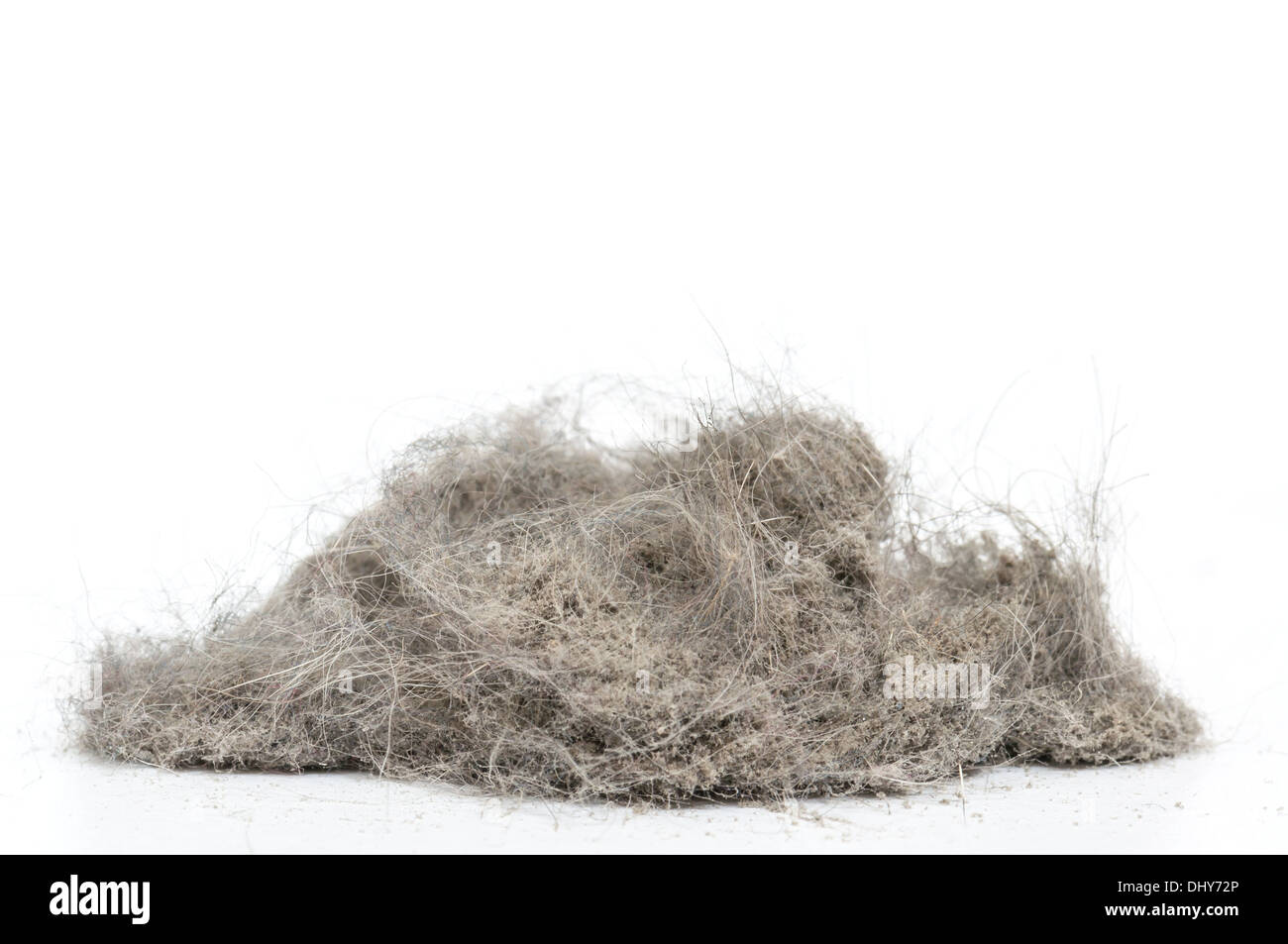 Heap di polvere con più lana Foto Stock