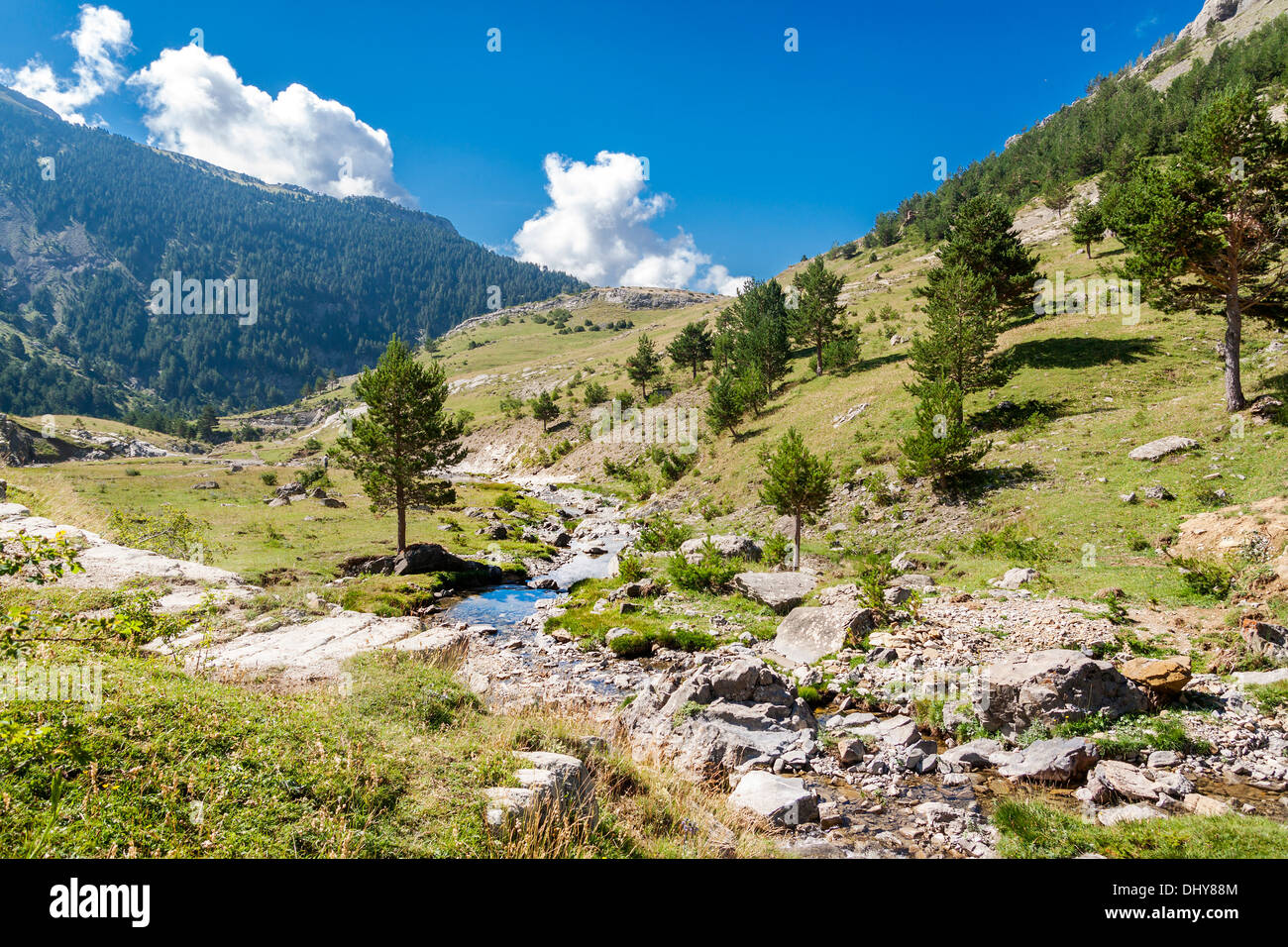 Bellissimo paesaggio con fiume di montagna nei Pirenei spagnoli Foto Stock