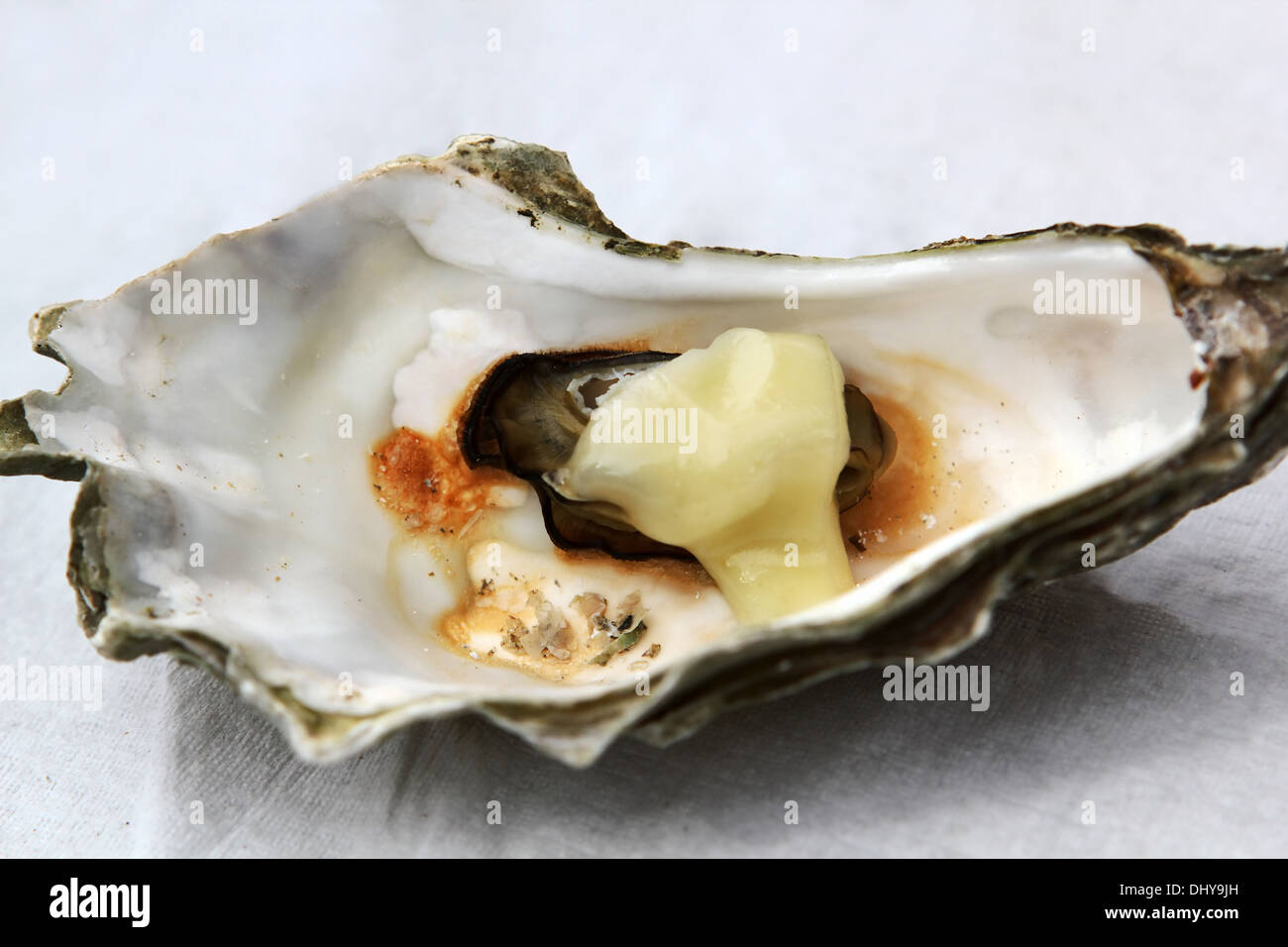 Aprire ostriche fresche con formaggio Foto Stock