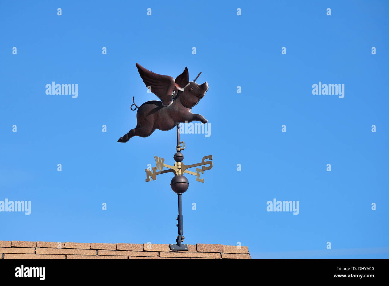 Un Flying Pig banderuola Foto Stock