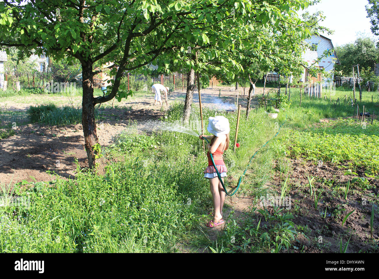 Irrigazione ragazza un orto nel paese Foto Stock