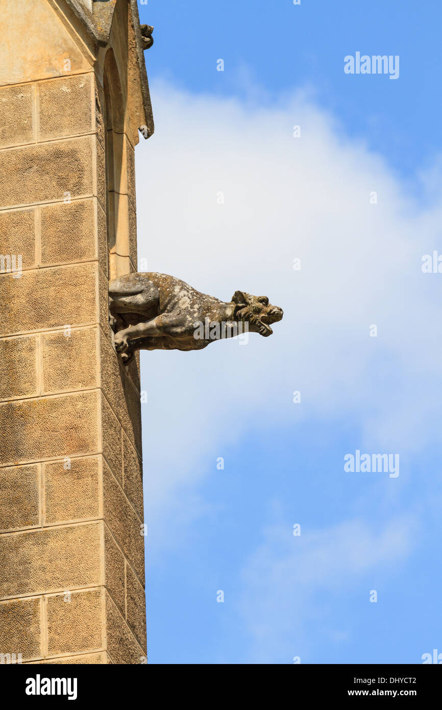 Gargoyle (chiesa gotica dettagli architettonici) Foto Stock