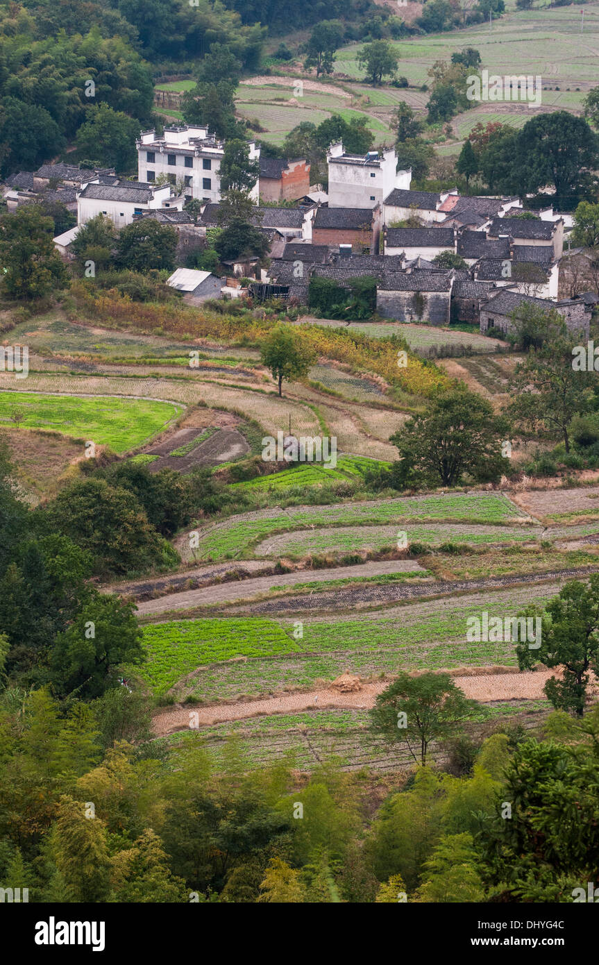 Guardando fuori attraverso campi di riso Tachuan heritage village nella regione Huizhou, Anhui Foto Stock