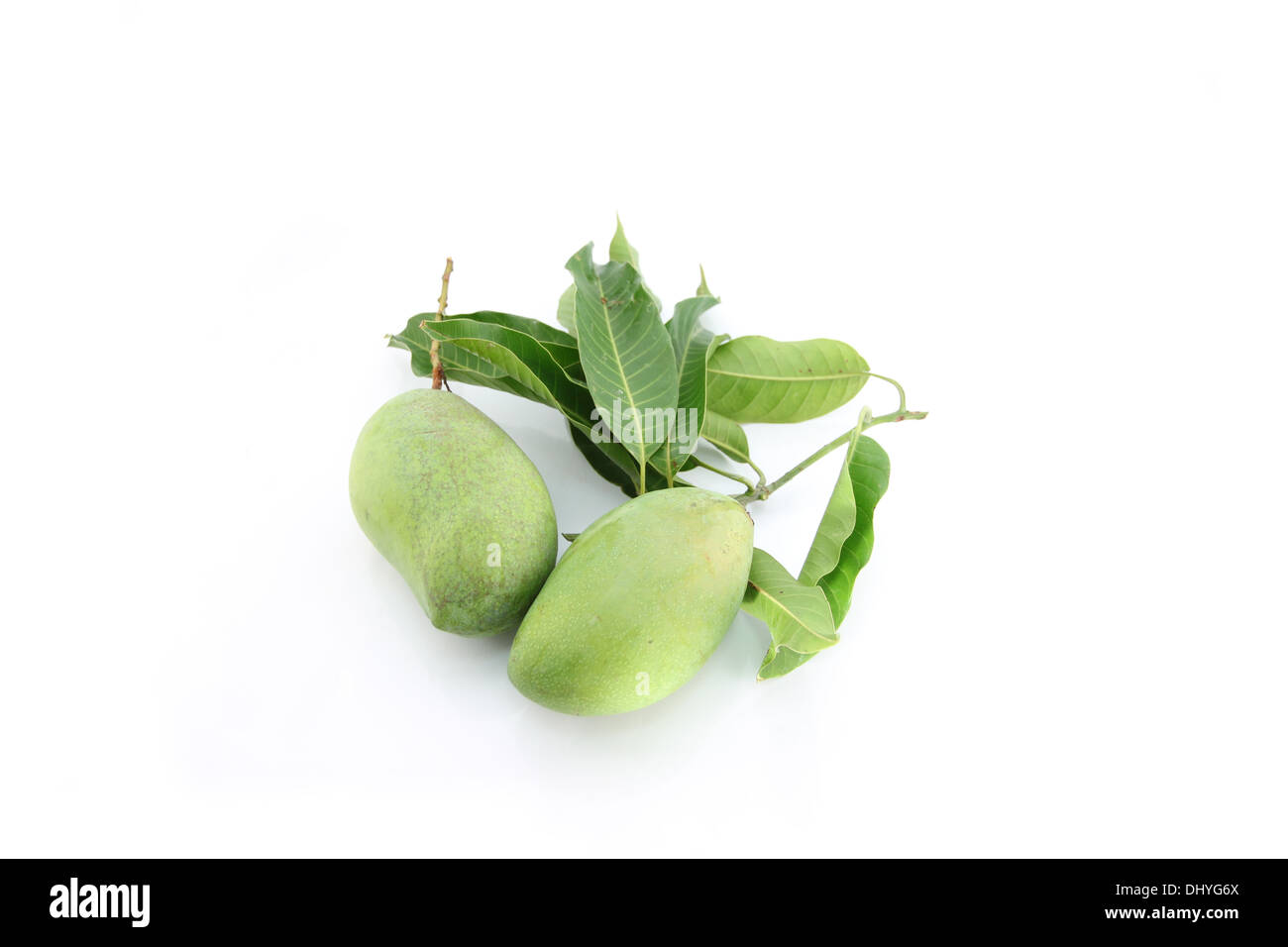 Green mango e foglie su sfondo bianco. Foto Stock