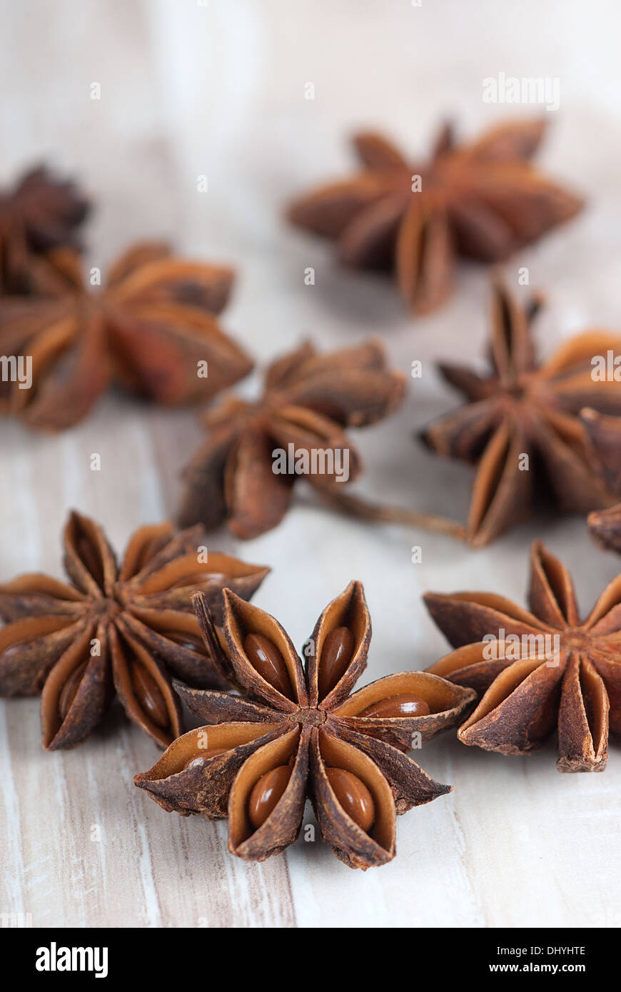 Anice stellato, cinese anice, di badiana, Illicium verum Foto Stock