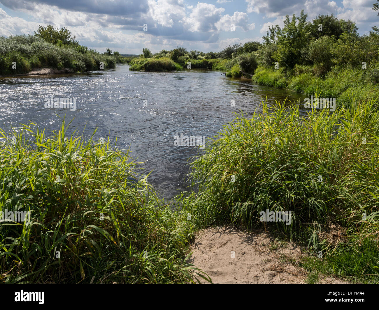 Biebrza National Park, Polonia Foto Stock