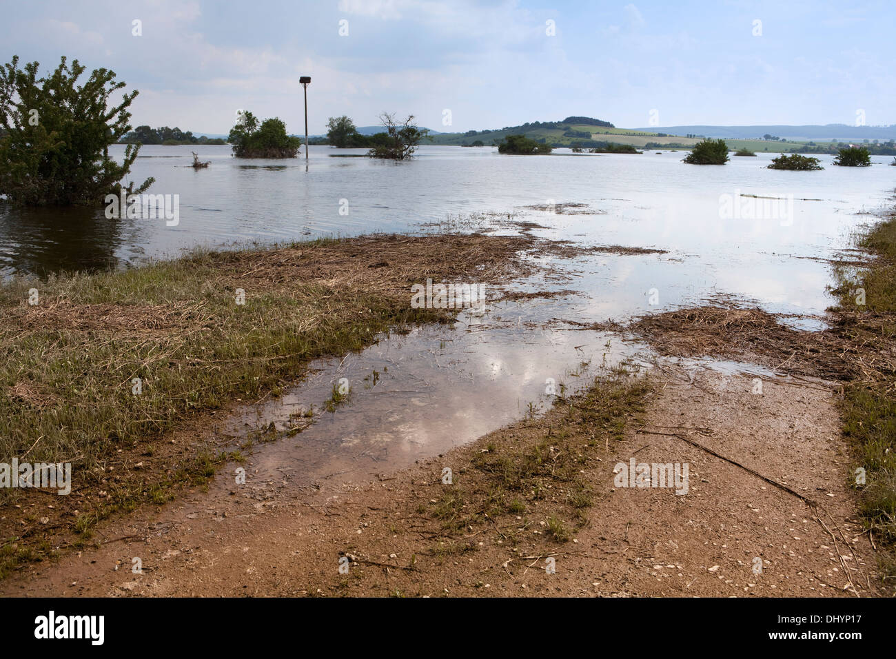 Inondati flood-conservazione bacino del fiume Leine, Salzderhelden, Einbeck, Bassa Sassonia, Germania, Europa Foto Stock