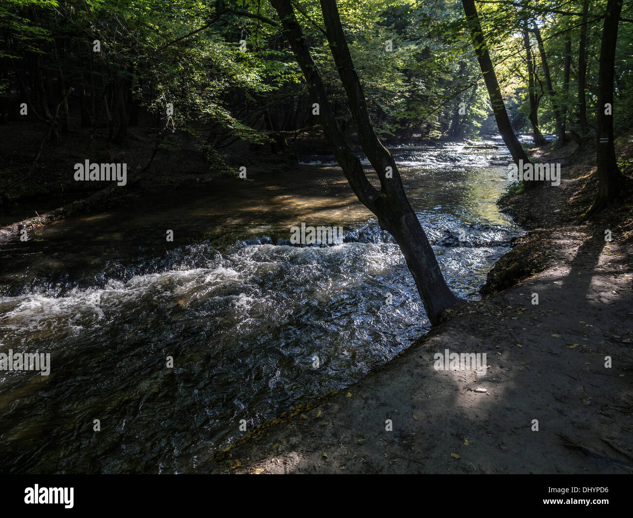 Roztocze - il luogo magico in Polonia Foto Stock