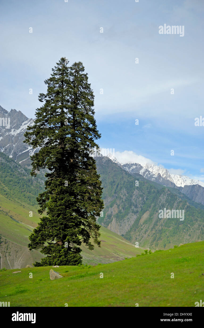 Cime coperte di neve di Himalayan mountain range in Kashmir Foto Stock