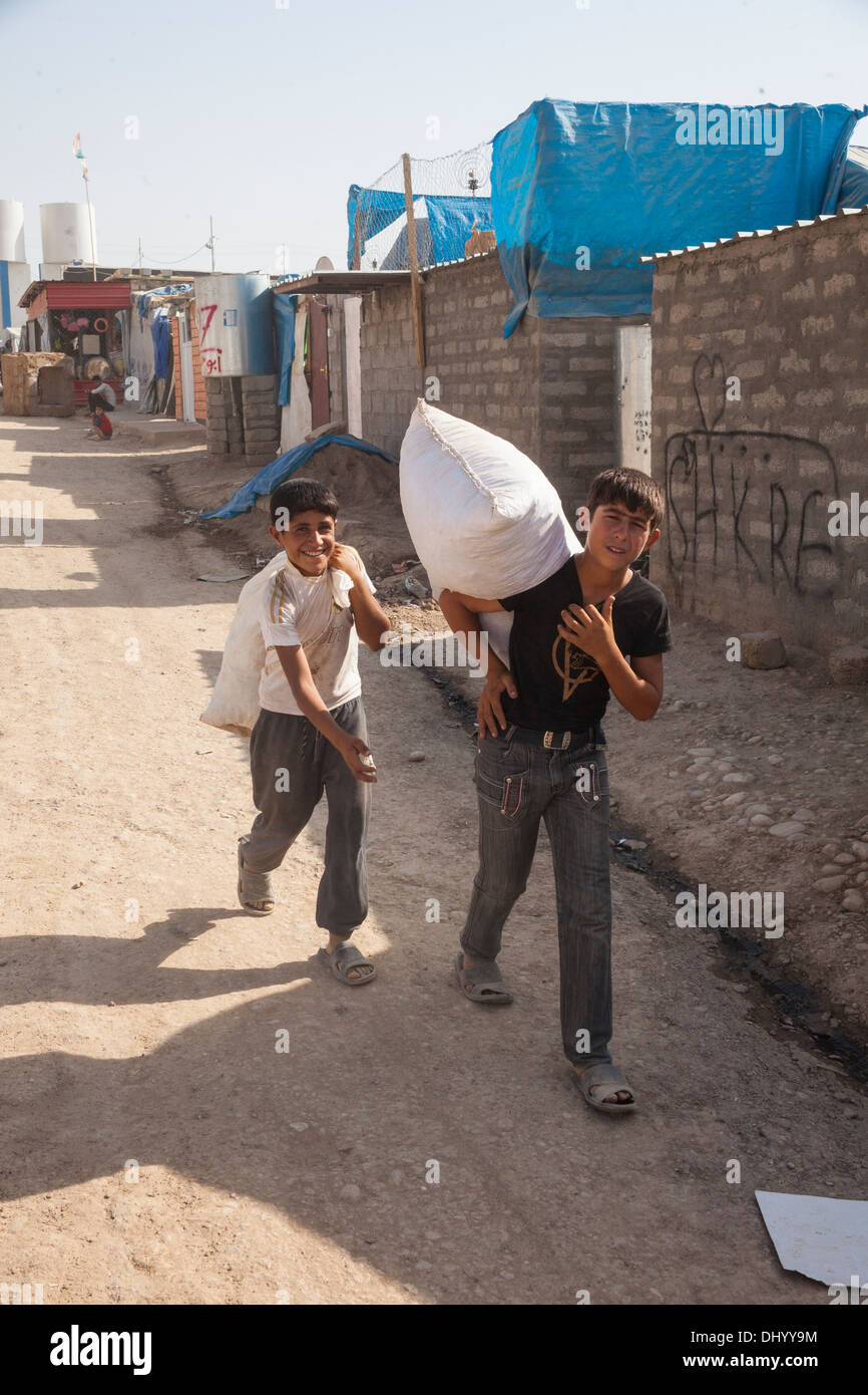 Domiz camp - rifugiati siriano che trasportano il frumento Foto Stock