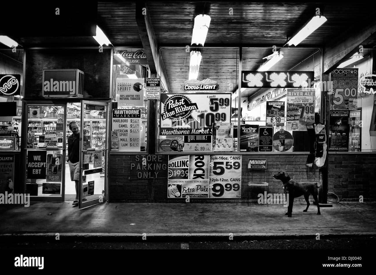 Cane di fronte ad un negozio di liquori a Portland, Oregon, Stati Uniti d'America Foto Stock
